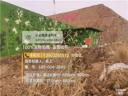 湘潭星空迷彩墙施工队