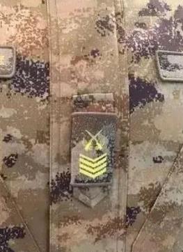 湘潭大面外墙建议图案比例协调