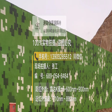 湘潭专业承接园区围墙迷彩喷涂、